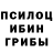 Псилоцибиновые грибы Magic Shrooms Eight Loco