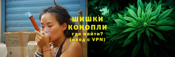 ПСИЛОЦИБИНОВЫЕ ГРИБЫ Верхнеуральск