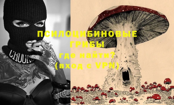 ПСИЛОЦИБИНОВЫЕ ГРИБЫ Верхнеуральск