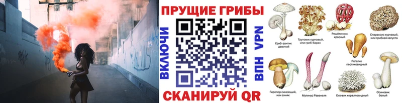 Псилоцибиновые грибы GOLDEN TEACHER  где можно купить наркотик  Лиски 