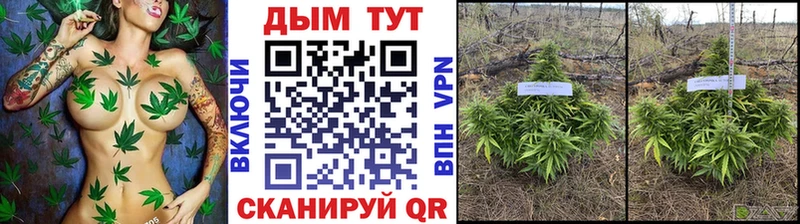 Бошки Шишки ГИДРОПОН  Лиски 